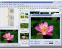 Image de FastStone Image Viewer